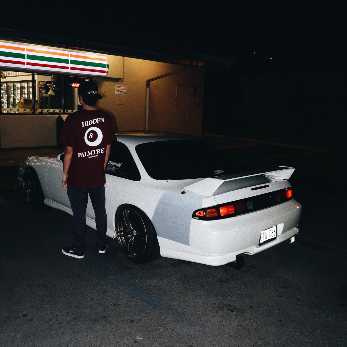 The Story HIDDENPALMTREE