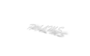 HPT PALMS 90's JDM Sticker